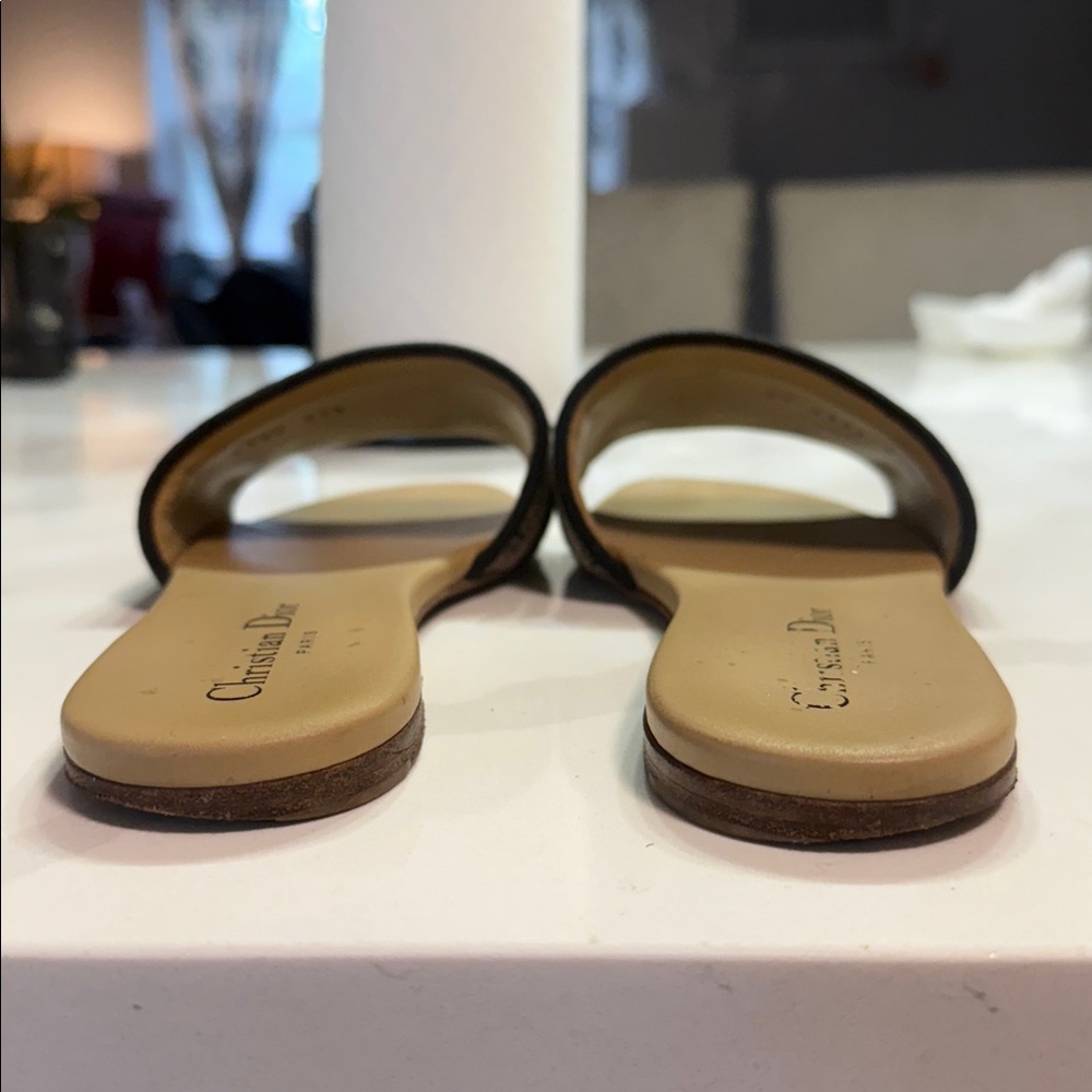 DIOR slide - Picture 13 of 14